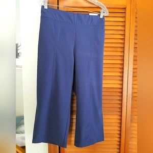 Chico's Zenergy golf pull on crop navy blue size 2.5 Never Worn